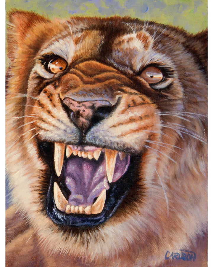 Eyes of the Huntress