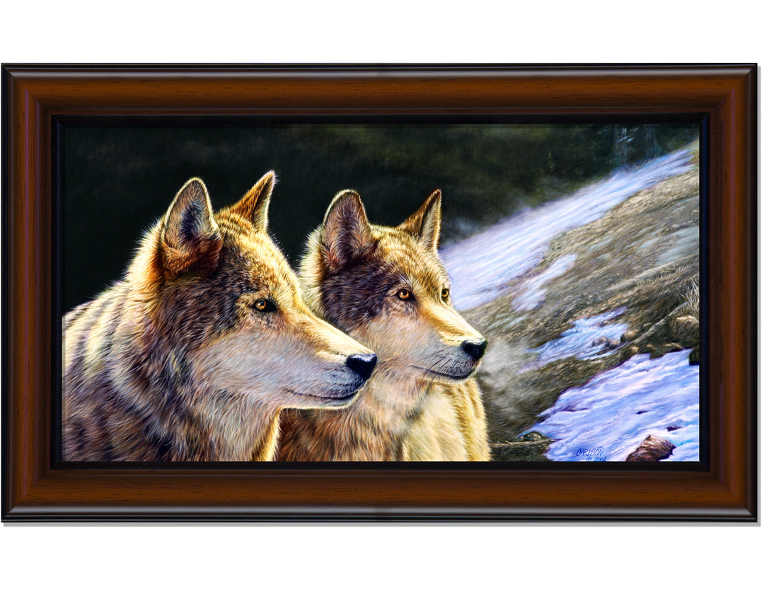 Brothers of the Wild