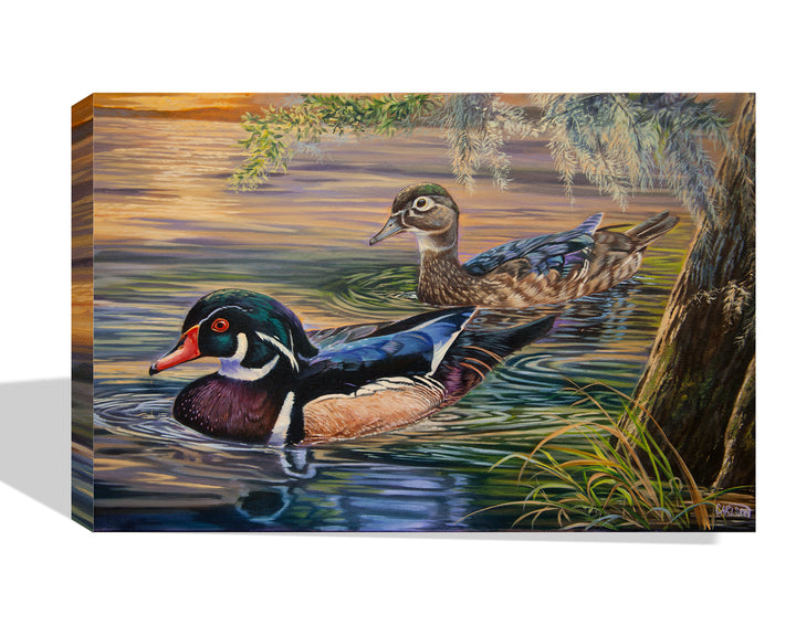 Wood Ducks at Sunset