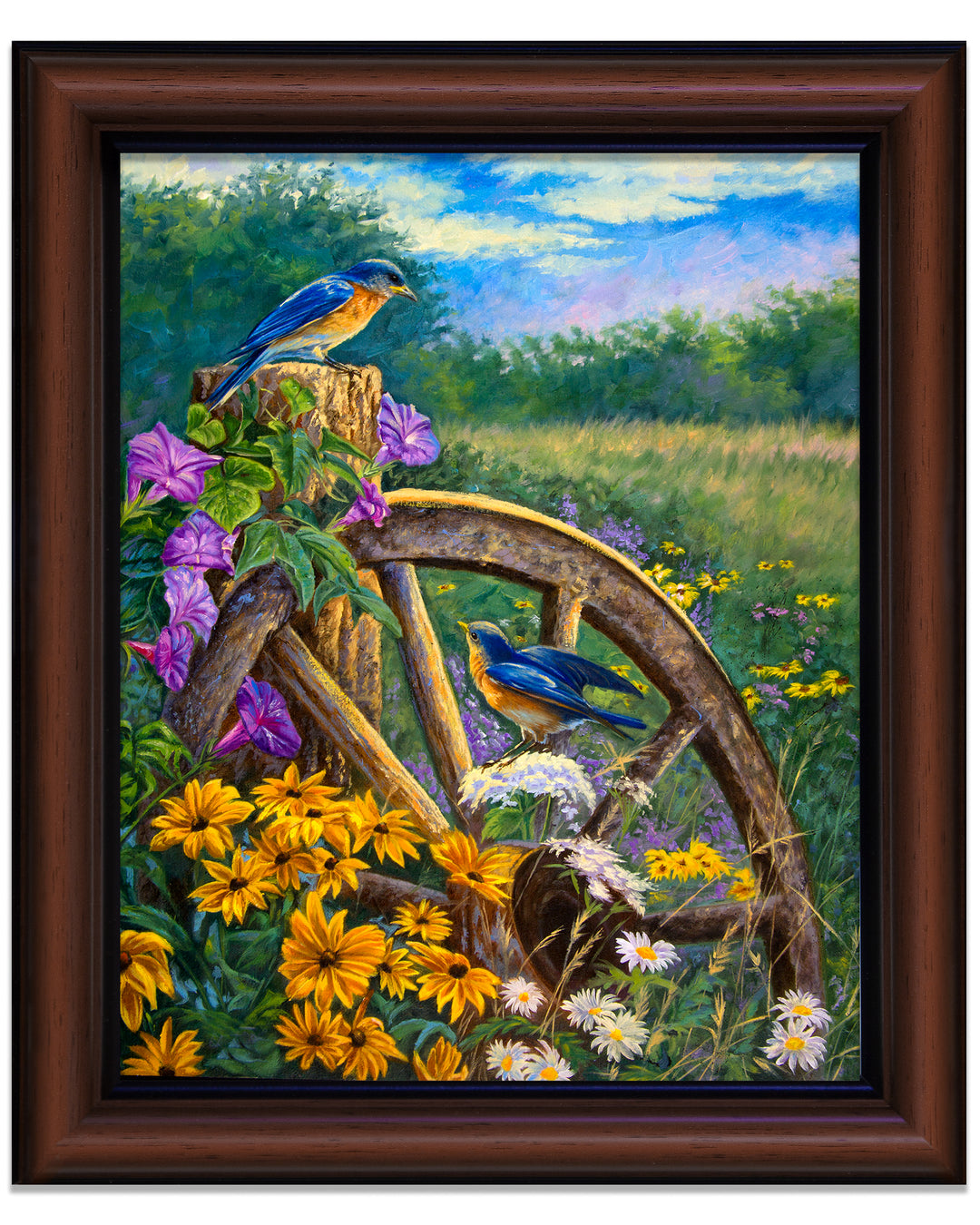 Morning Meadows