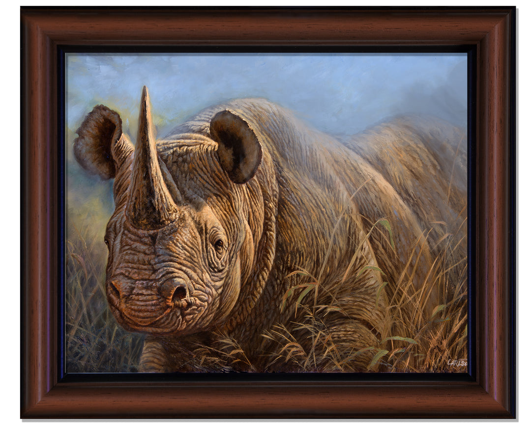 Black Rhino