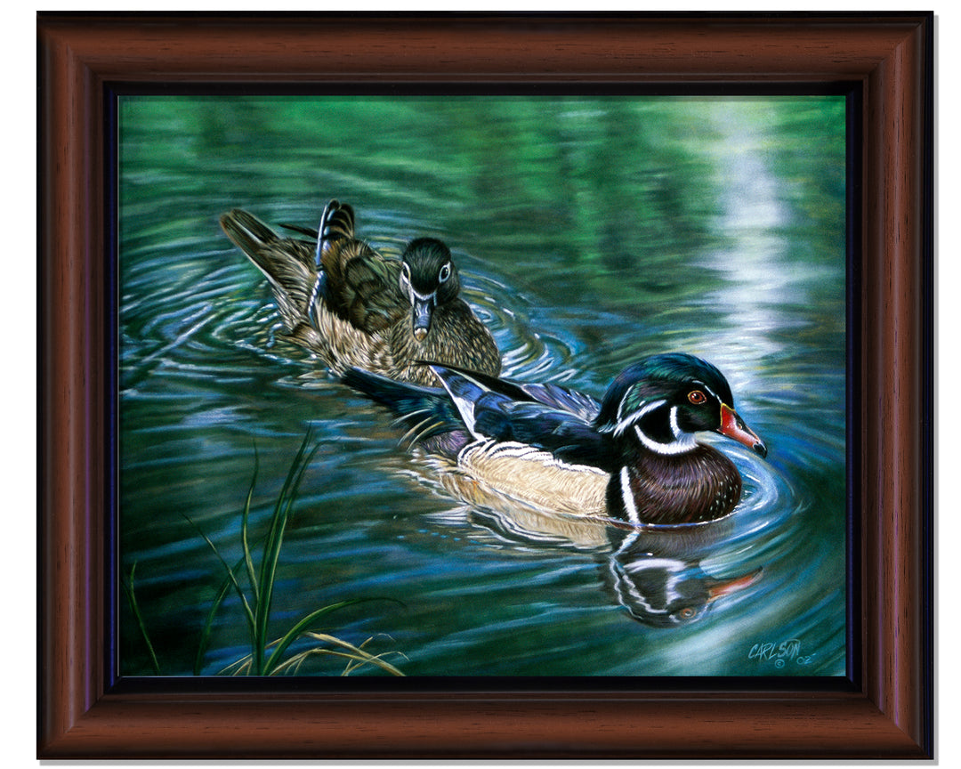 Wood Ducks