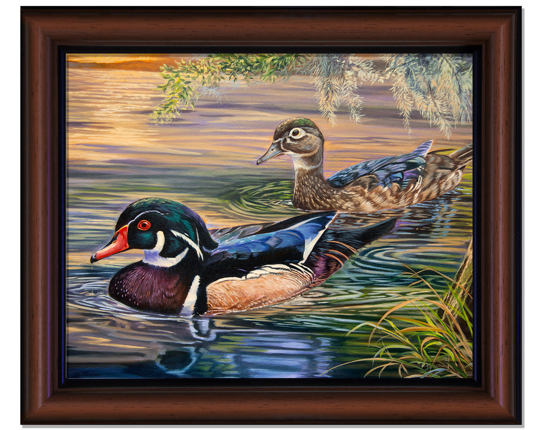 Wood Ducks at Sunset