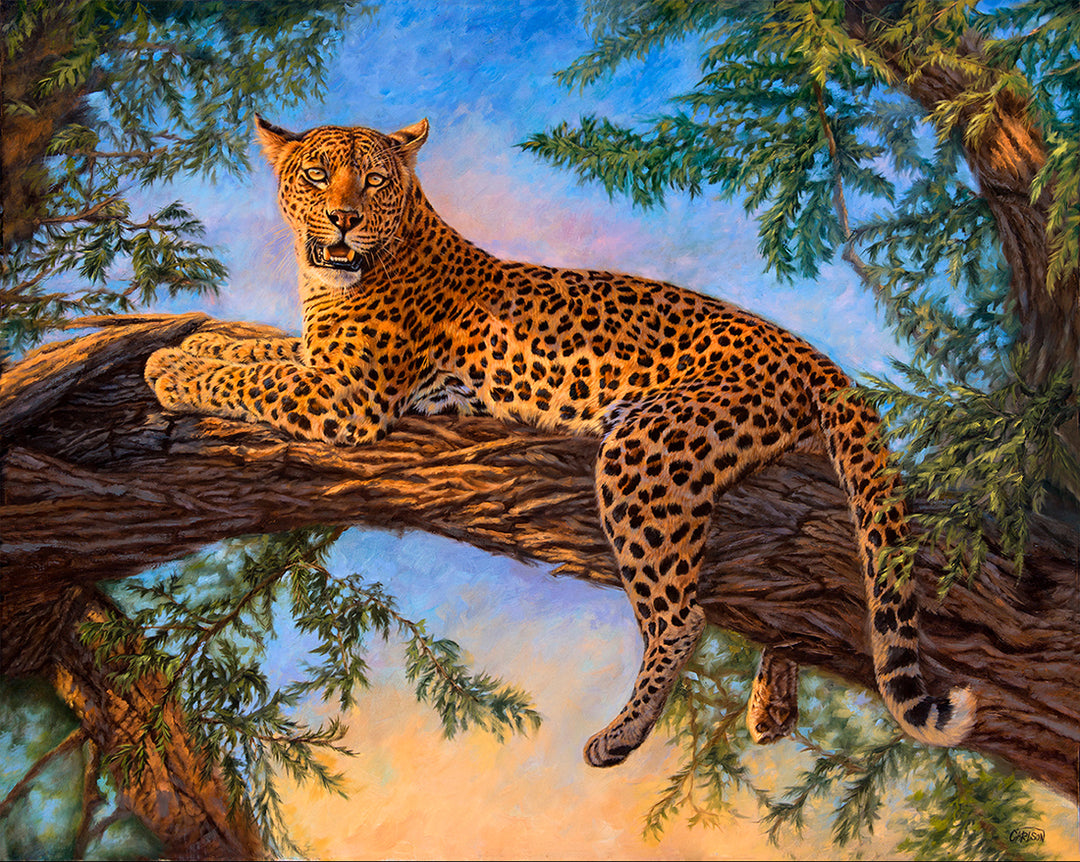 Out of Africa - Carlson Fine Art Notecards