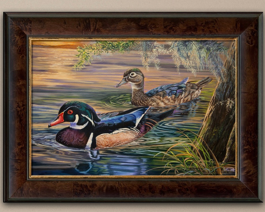 Wood Ducks at Sunset