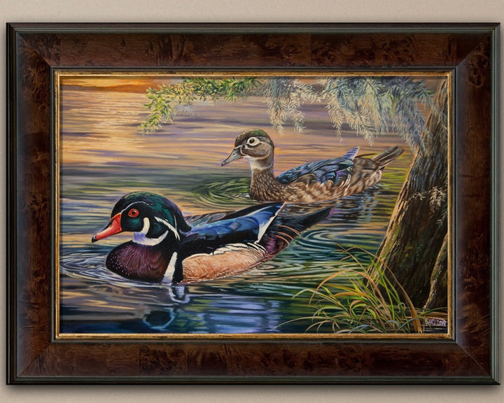 Wood Ducks at Sunset