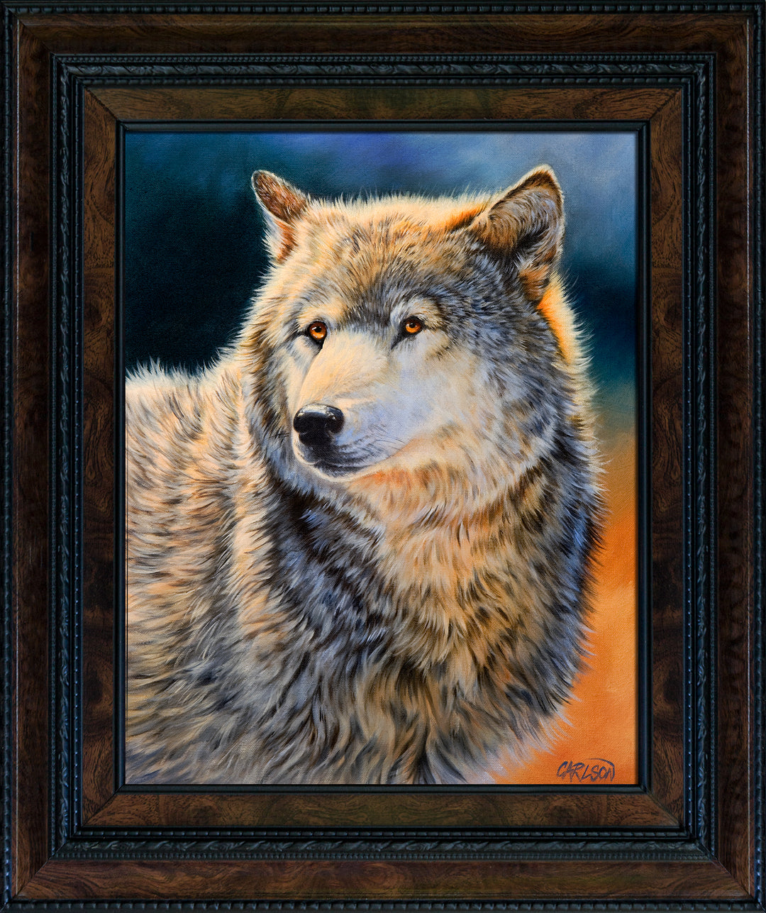 Grey Wolf
