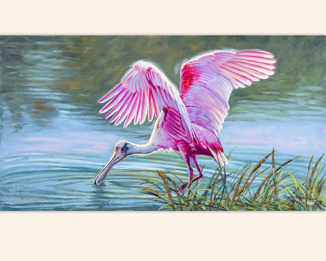 Shades of Pink