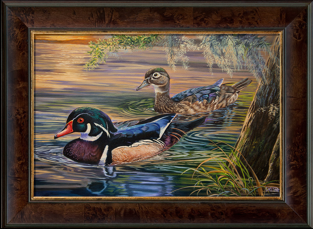 Wood Ducks at Sunset