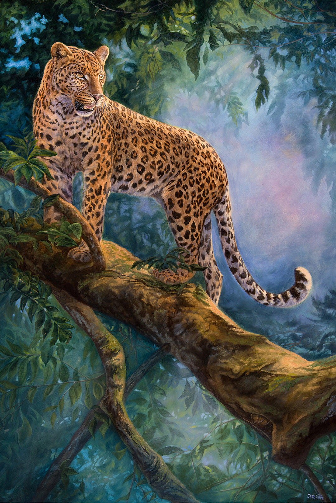 Out of Africa - Carlson Fine Art Notecards