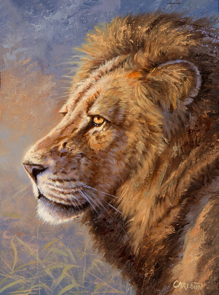 African Lion II