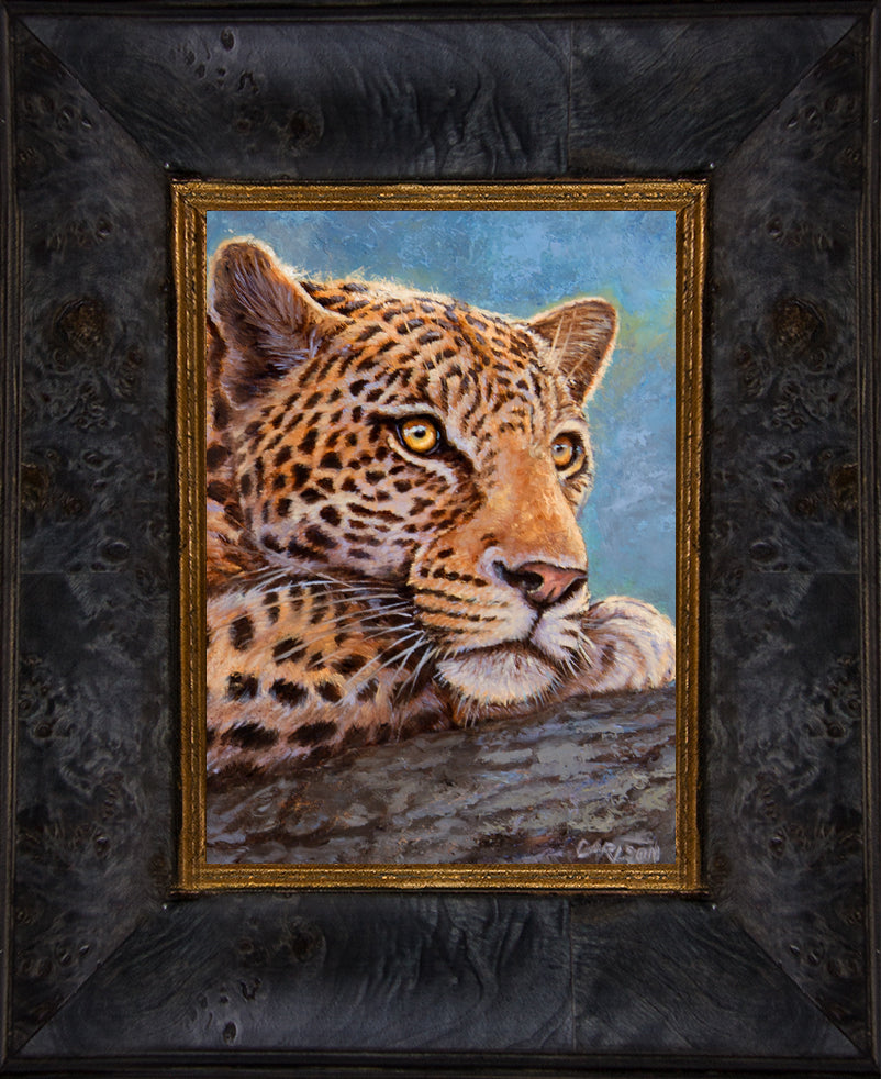 African Leopard