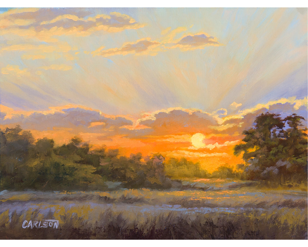 Bushveld Glow