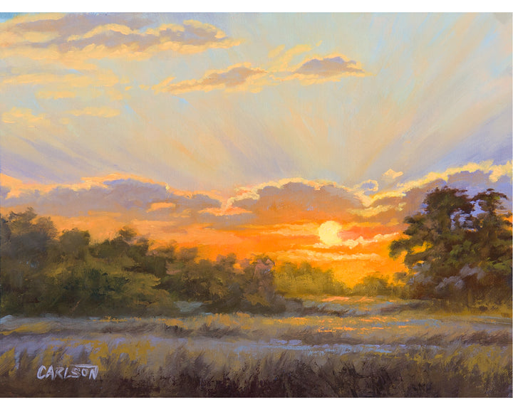 Bushveld Glow