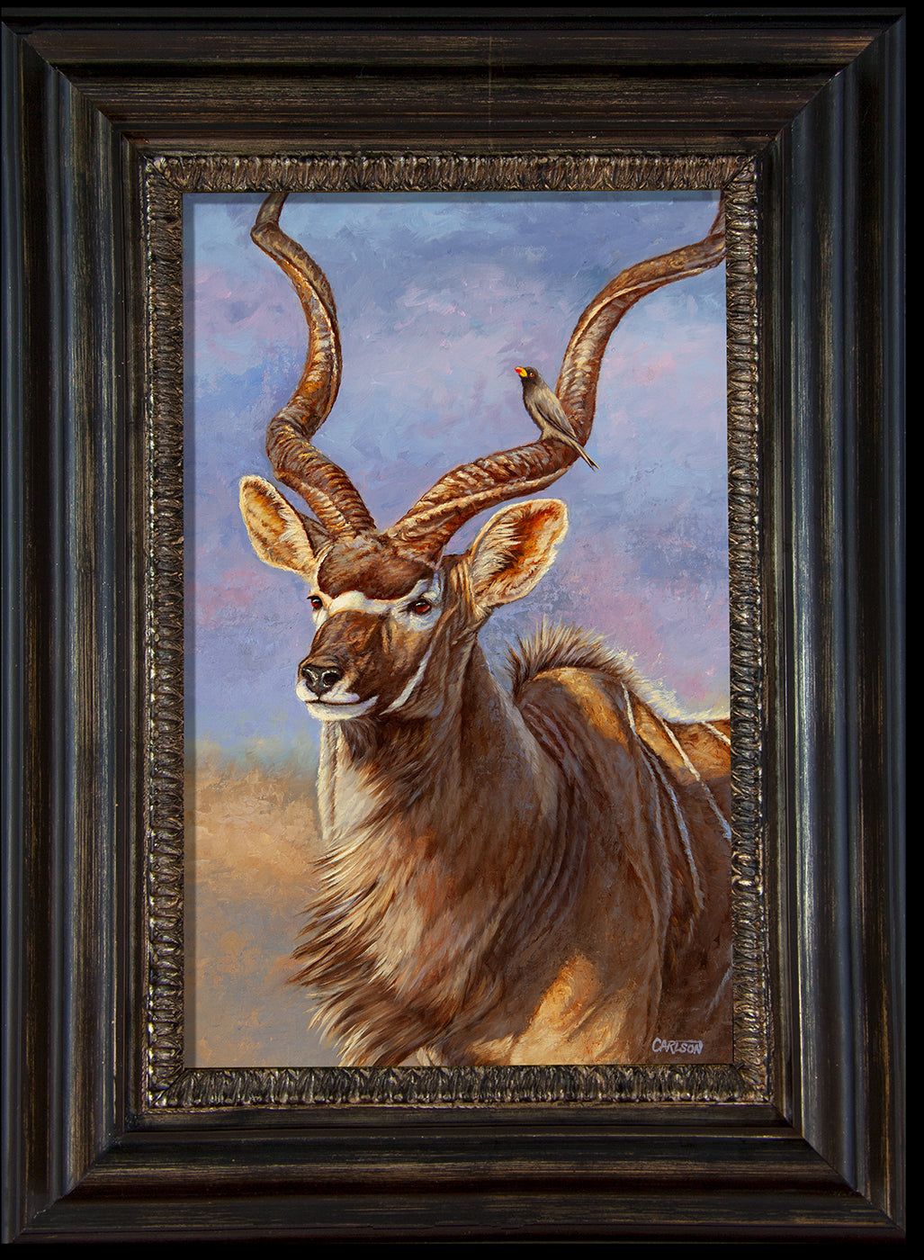 Kudu Encounter