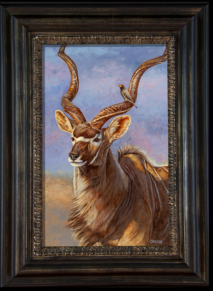 Kudu Encounter