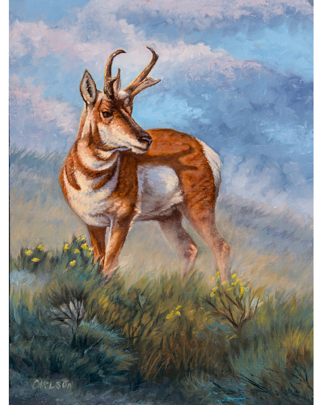 A painted pronghorn standing in a grassy field under a blue and white sky. The artwork shows a natural outdoor scene with the animal as the main subject, rendered in soft brushstrokes of blue, brown, white, green, and yellow.
