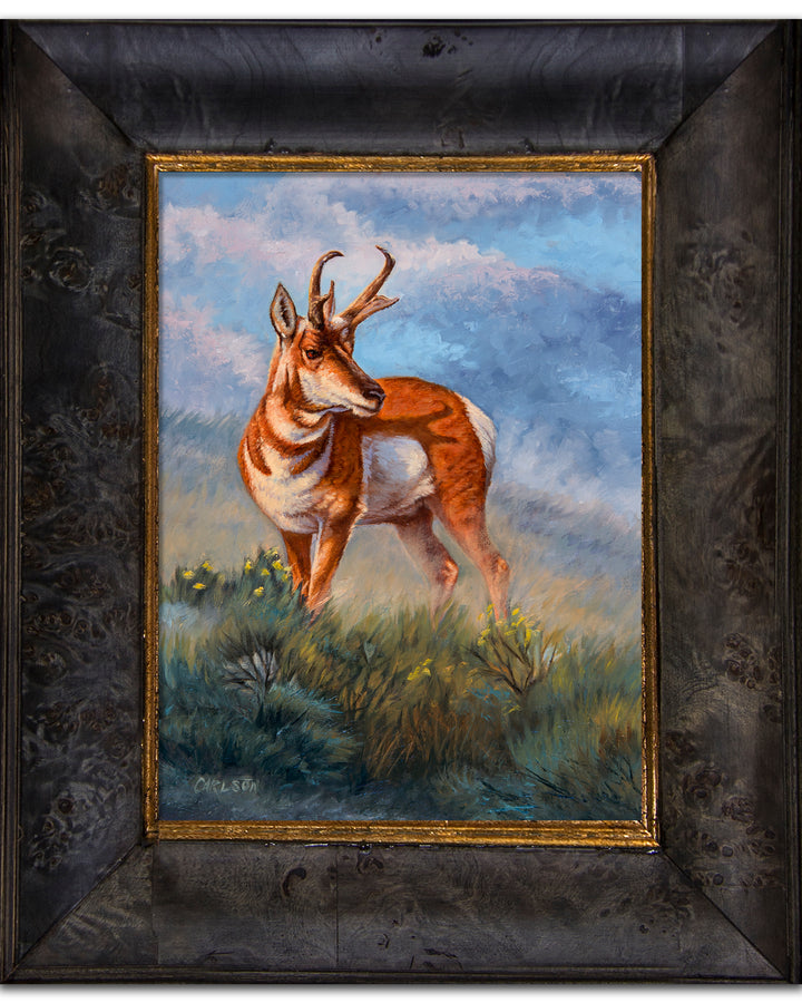 Plains Watcher