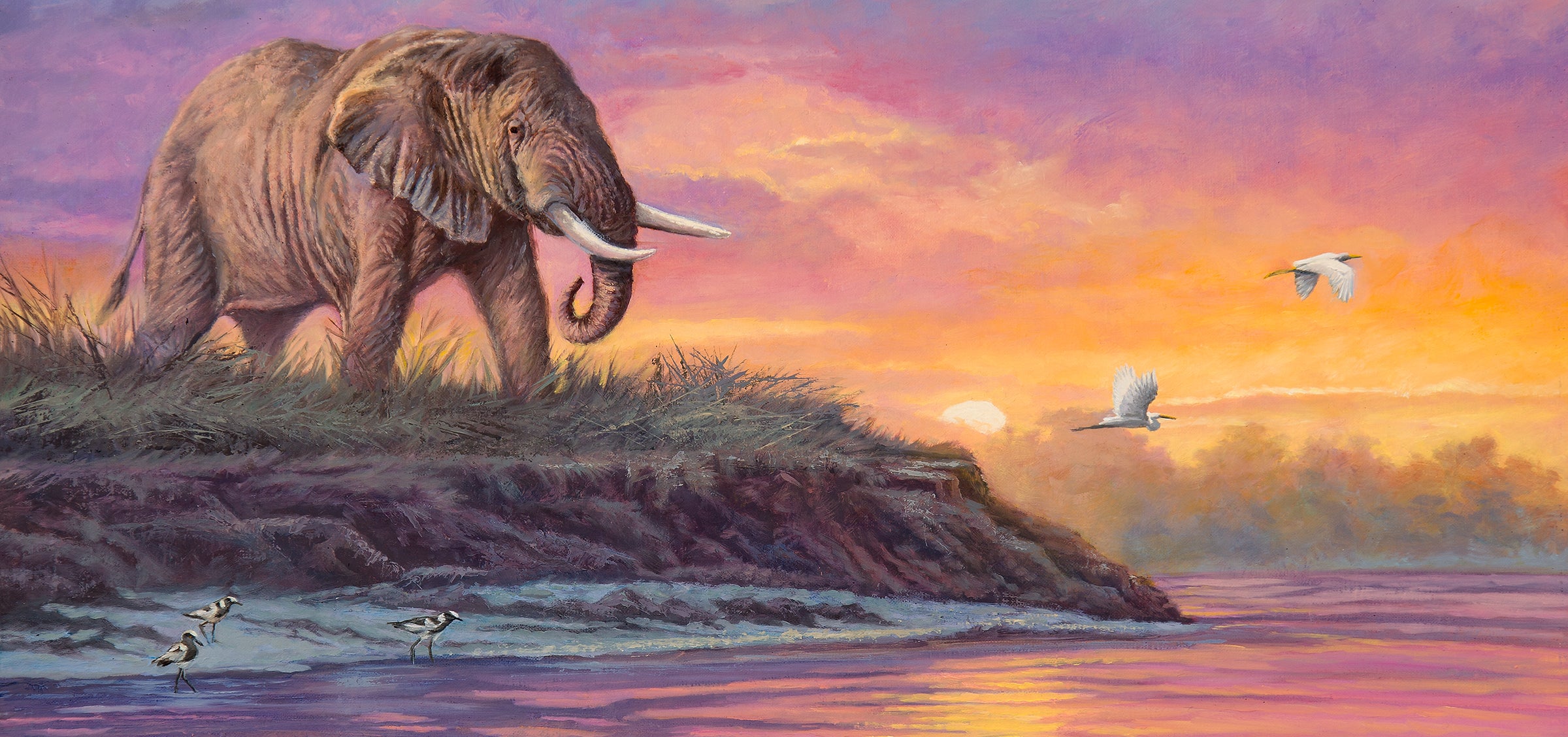 Elephant standing on a cliff overlooking a sunset over water with birds.
