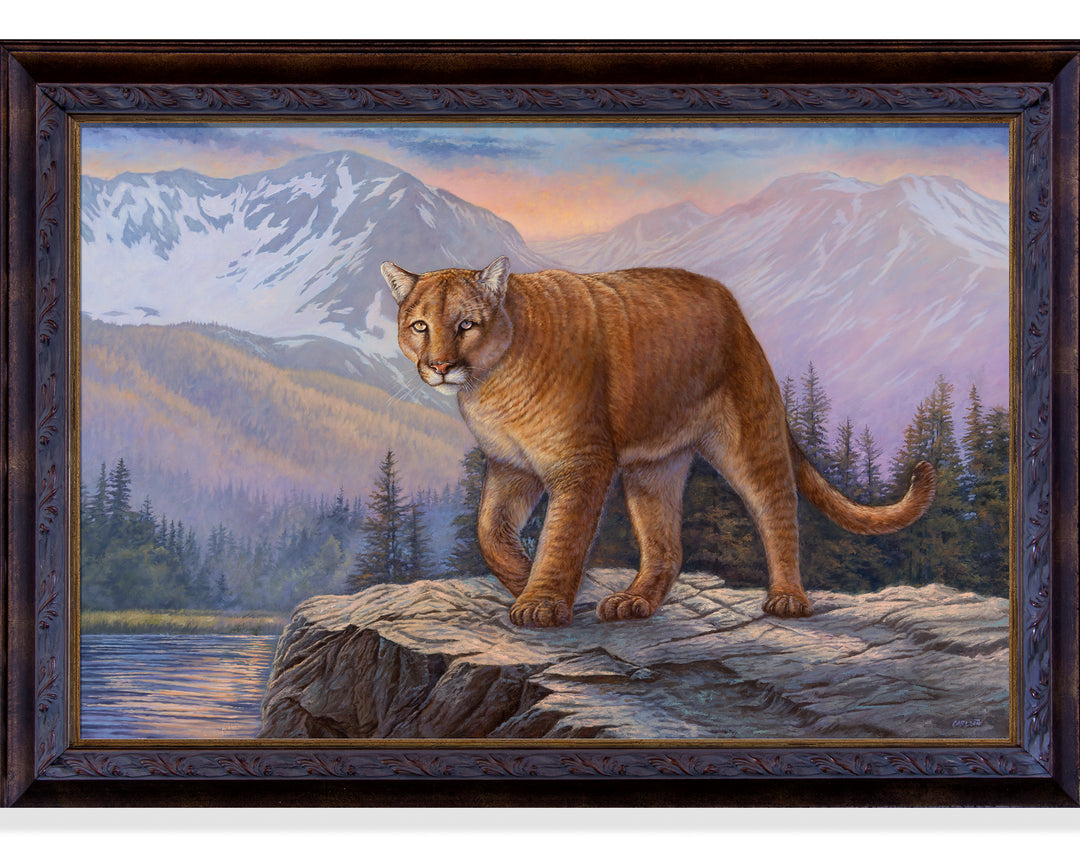 Sentinel of Higher Realms