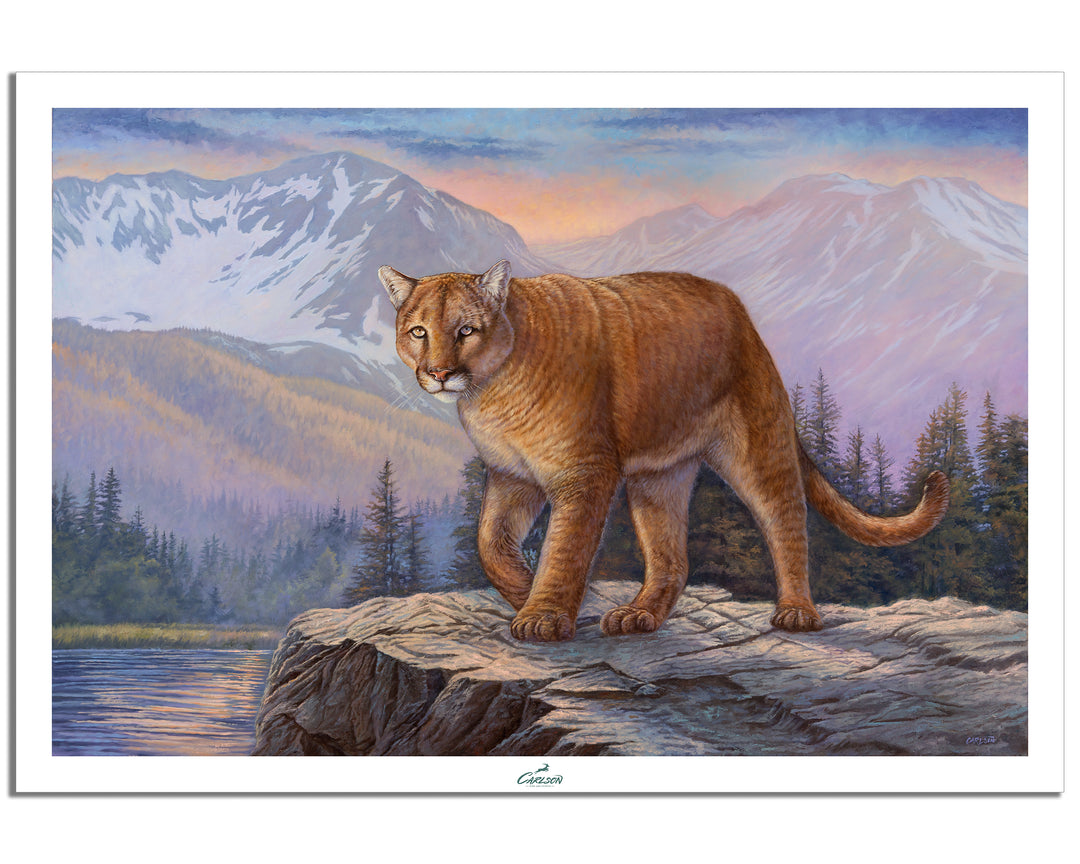 Sentinel of Higher Realms