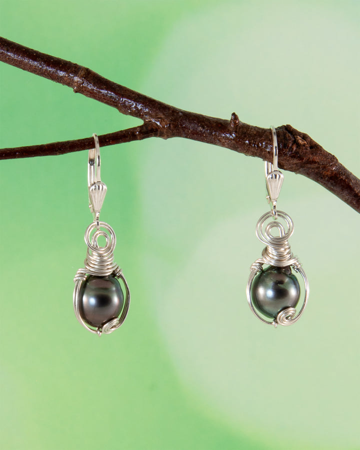 A pair of silver wire-wrapped drop earrings with dark Tahitianpearls, hanging from a brown branch against a soft green background.