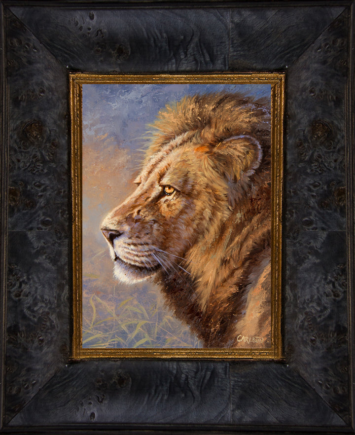 African Lion II