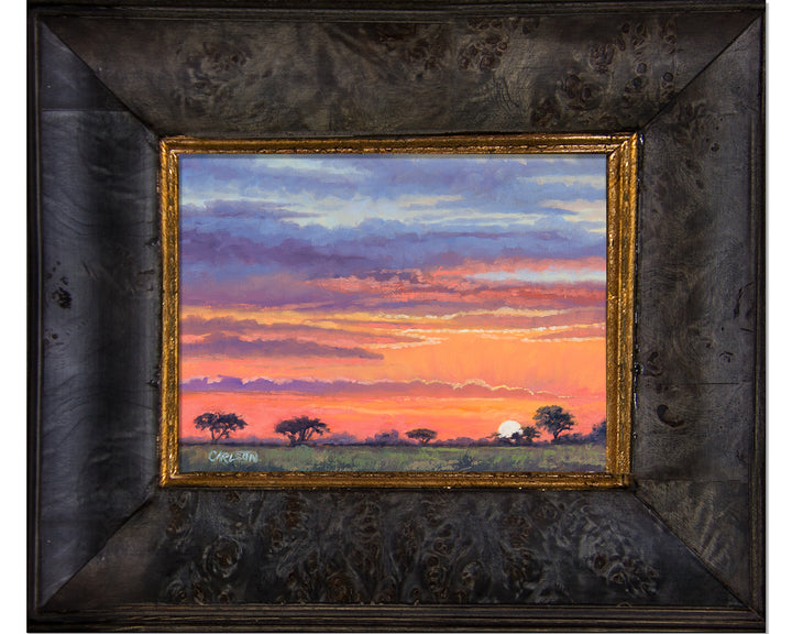 Sunrise in the Wild