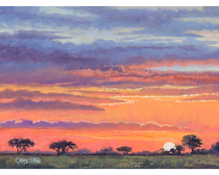 Sunrise in the Wild