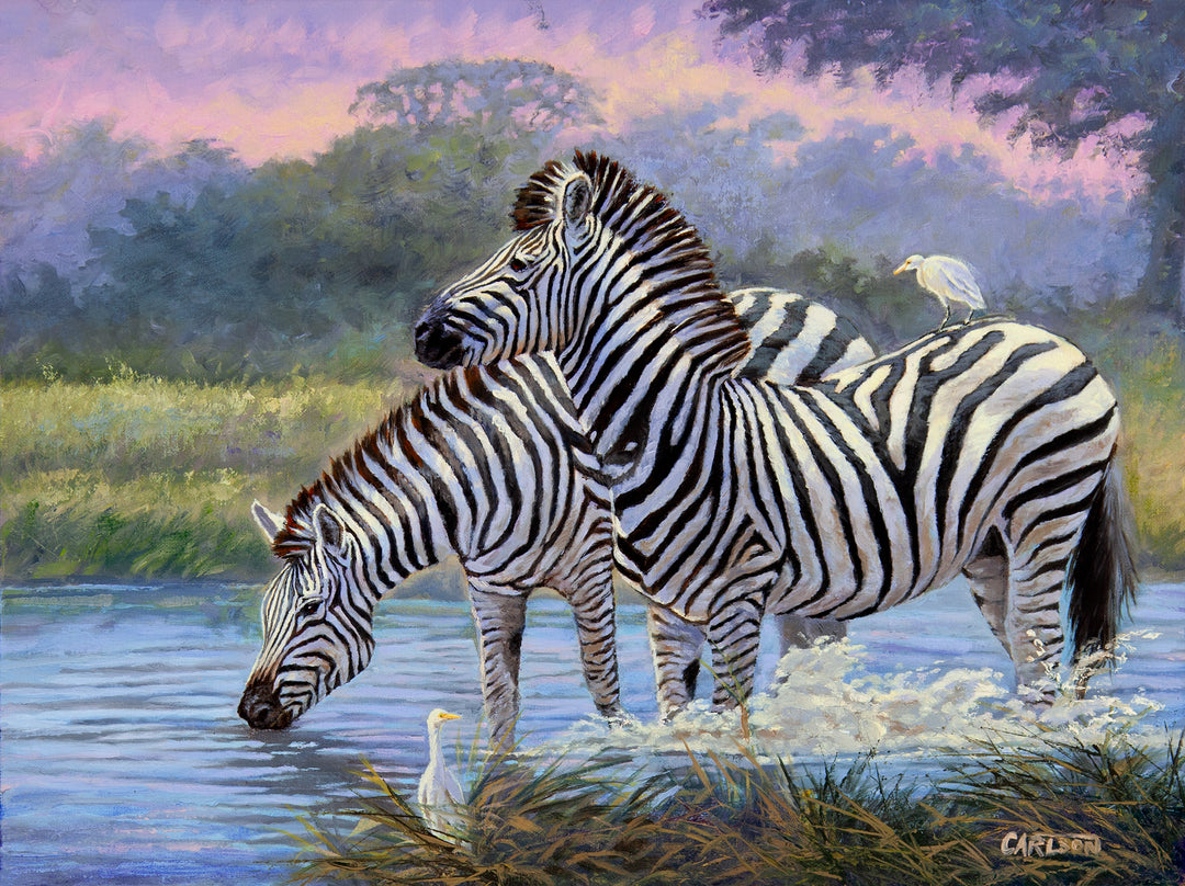 Painting of a pair of zebras drinking at dawn