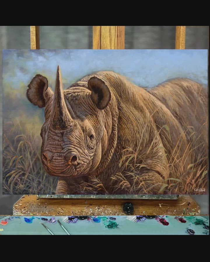 Black Rhino