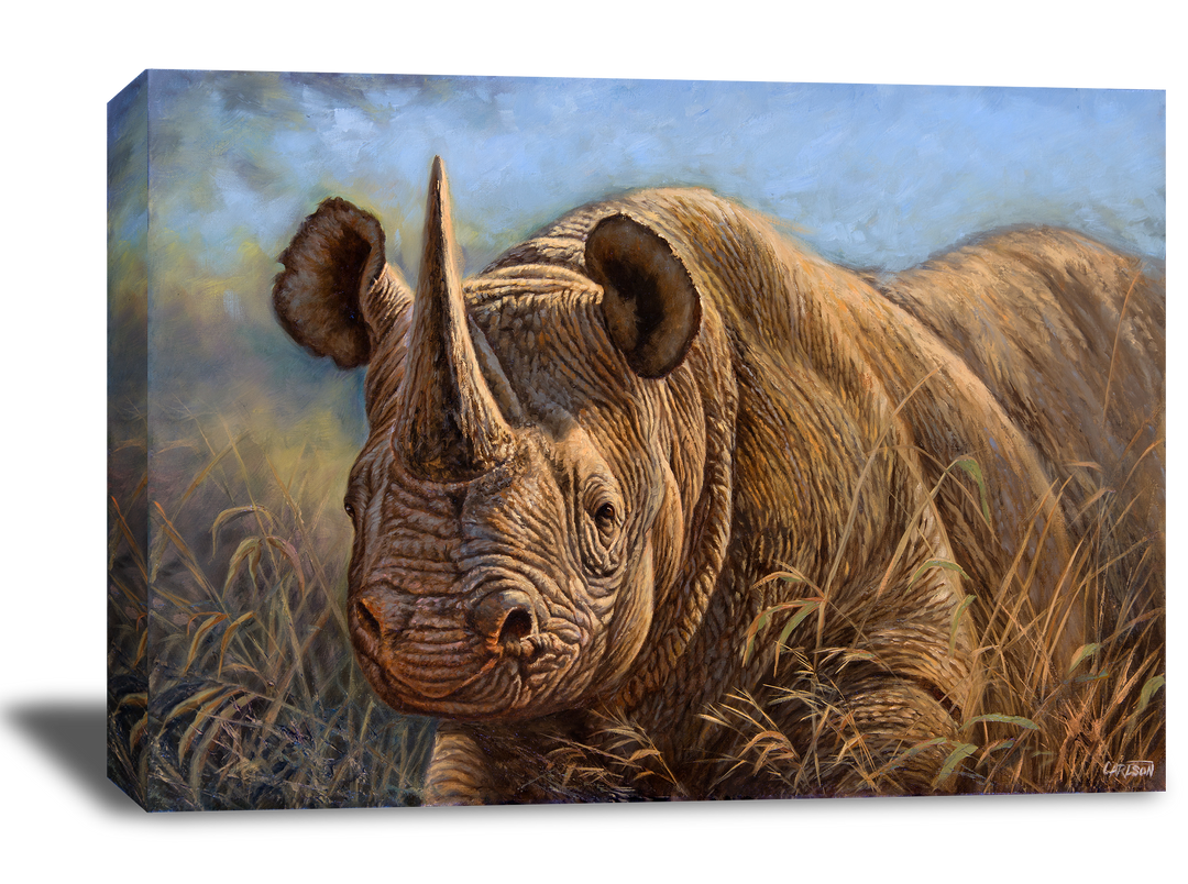 Black Rhino