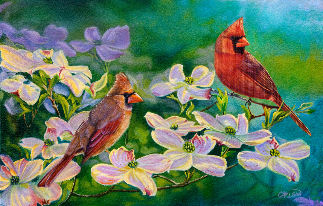 Cardinals of Spring