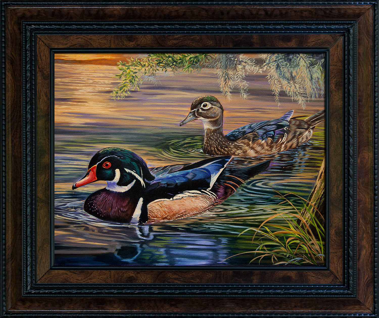 Wood Duck Paintings